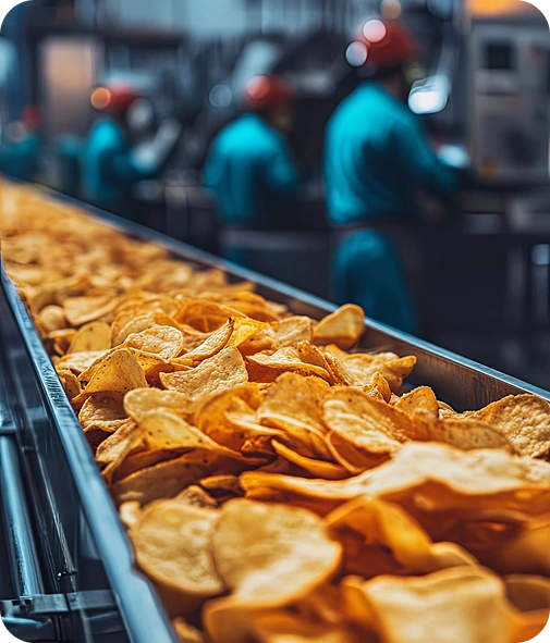 Conveyor belt filled with potato chips being processed at Launch My Brand’s white label snack manufacturing facility in India.